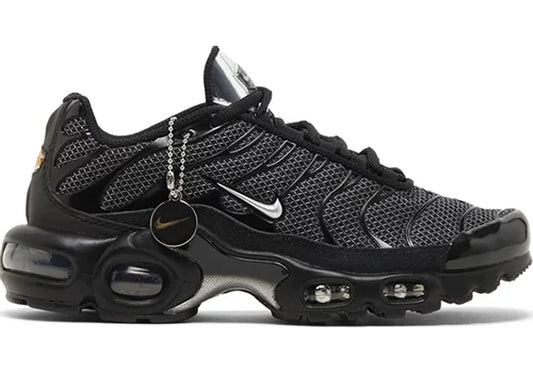 Nike Air Max Plus Black Suede Silver (W)